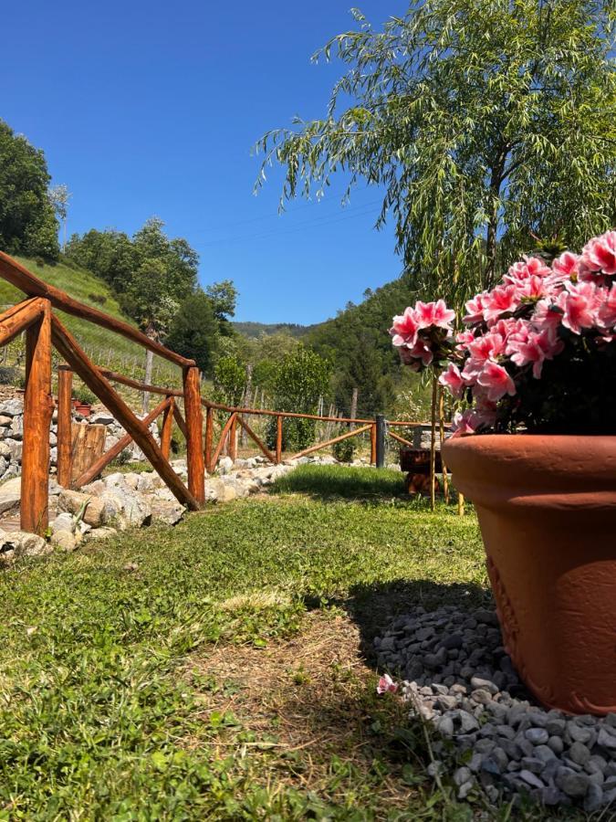 Agriturismo I Prati Di Venere Villa Sesta Godano Bagian luar foto