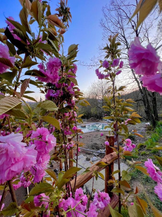 Agriturismo I Prati Di Venere Villa Sesta Godano Bagian luar foto